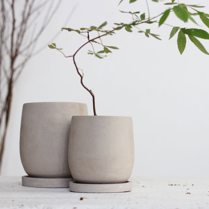 Round Concrete Flower Pot with Tray for Succulent Plants