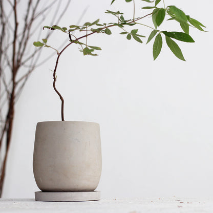 Round Concrete Flower Pot with Tray for Succulent Plants
